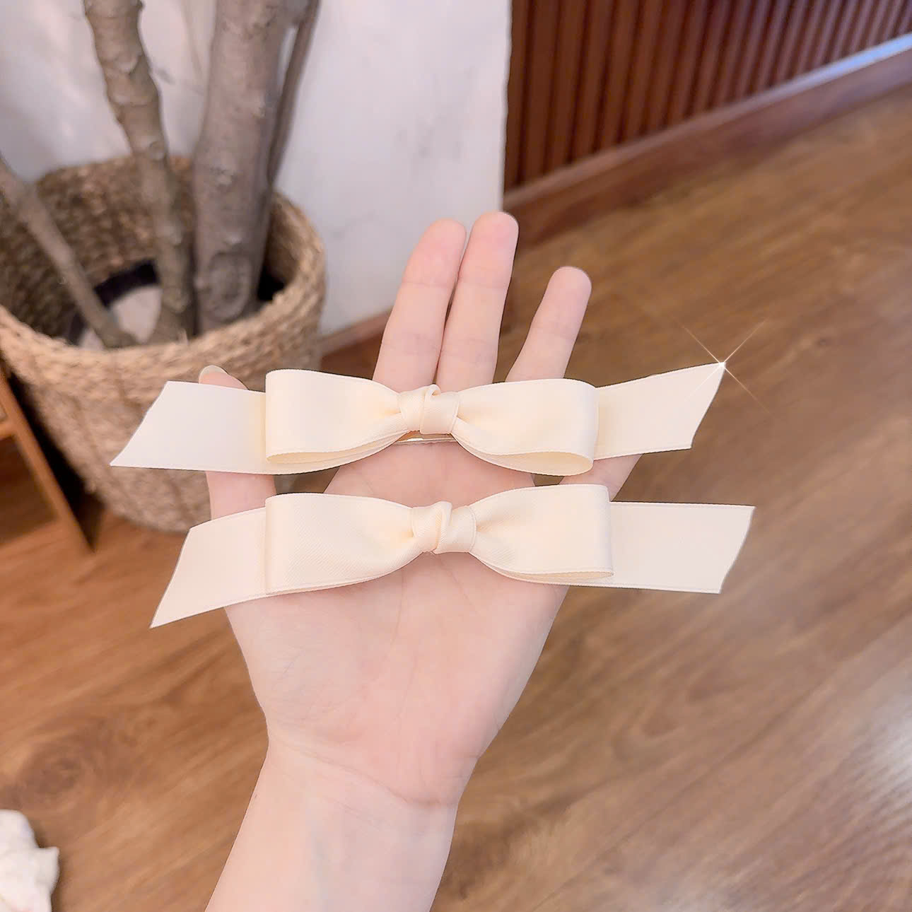 Sét 2 kẹp mỏ vịt nơ màu KEM B3043